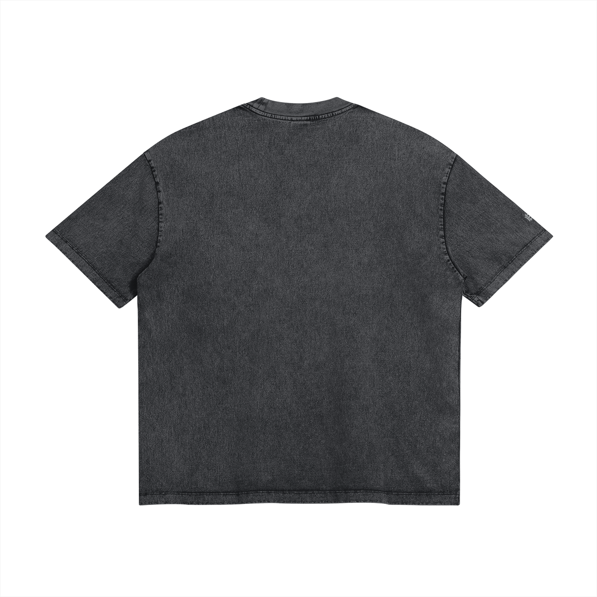 DARK SPIRIT SNOW WASH TEE